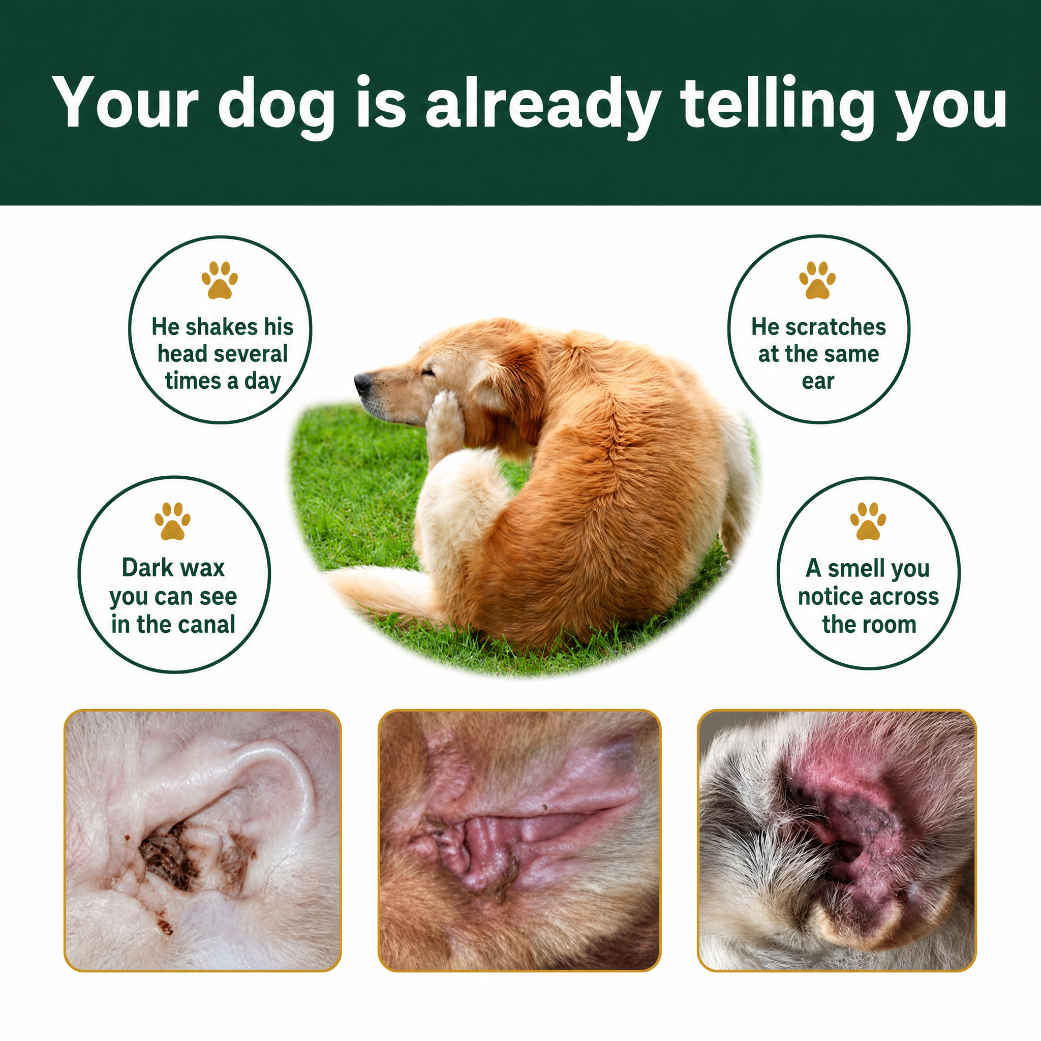 Ear Cleaner for Dogs & Cats