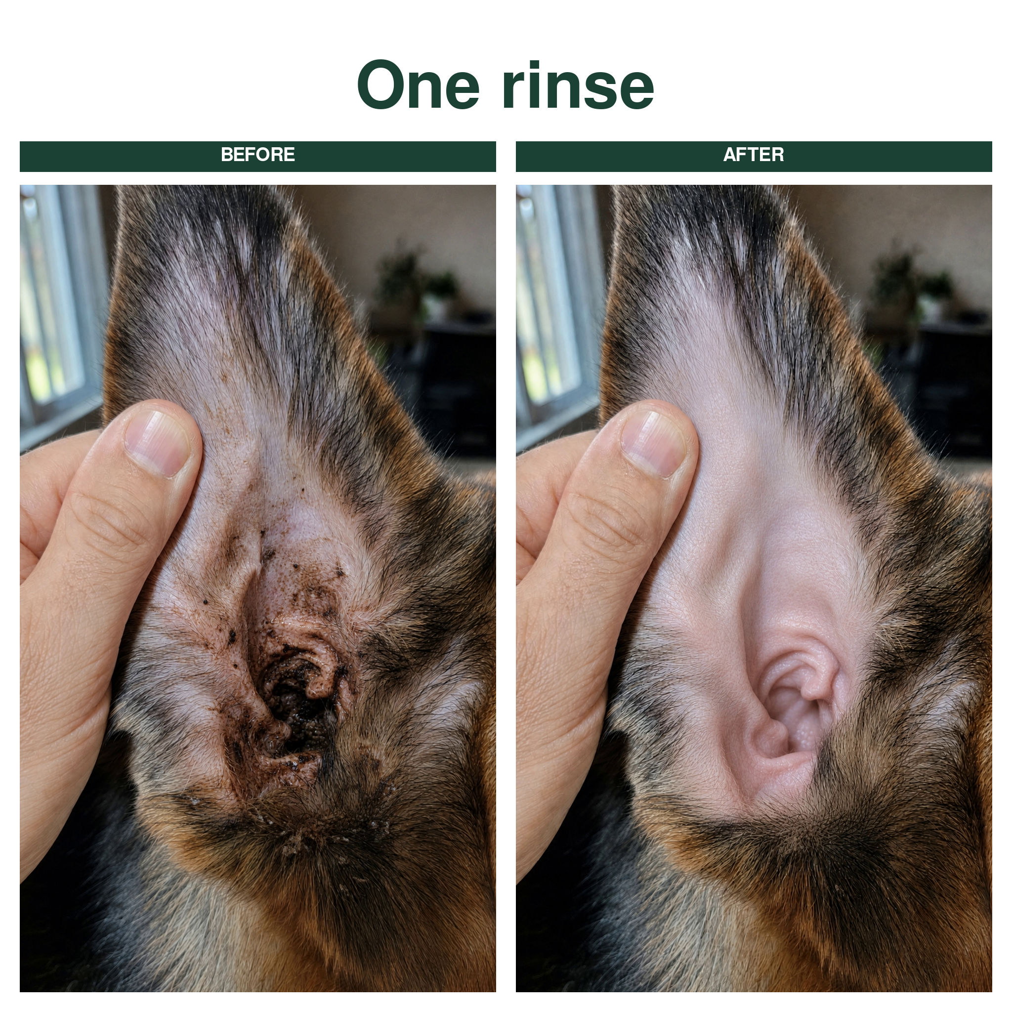 Ear Cleaner for Dogs & Cats