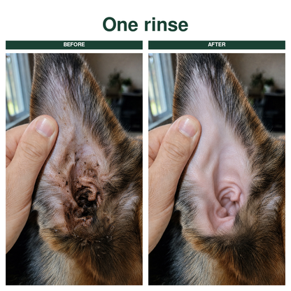 Ear Cleaner for Dogs & Cats