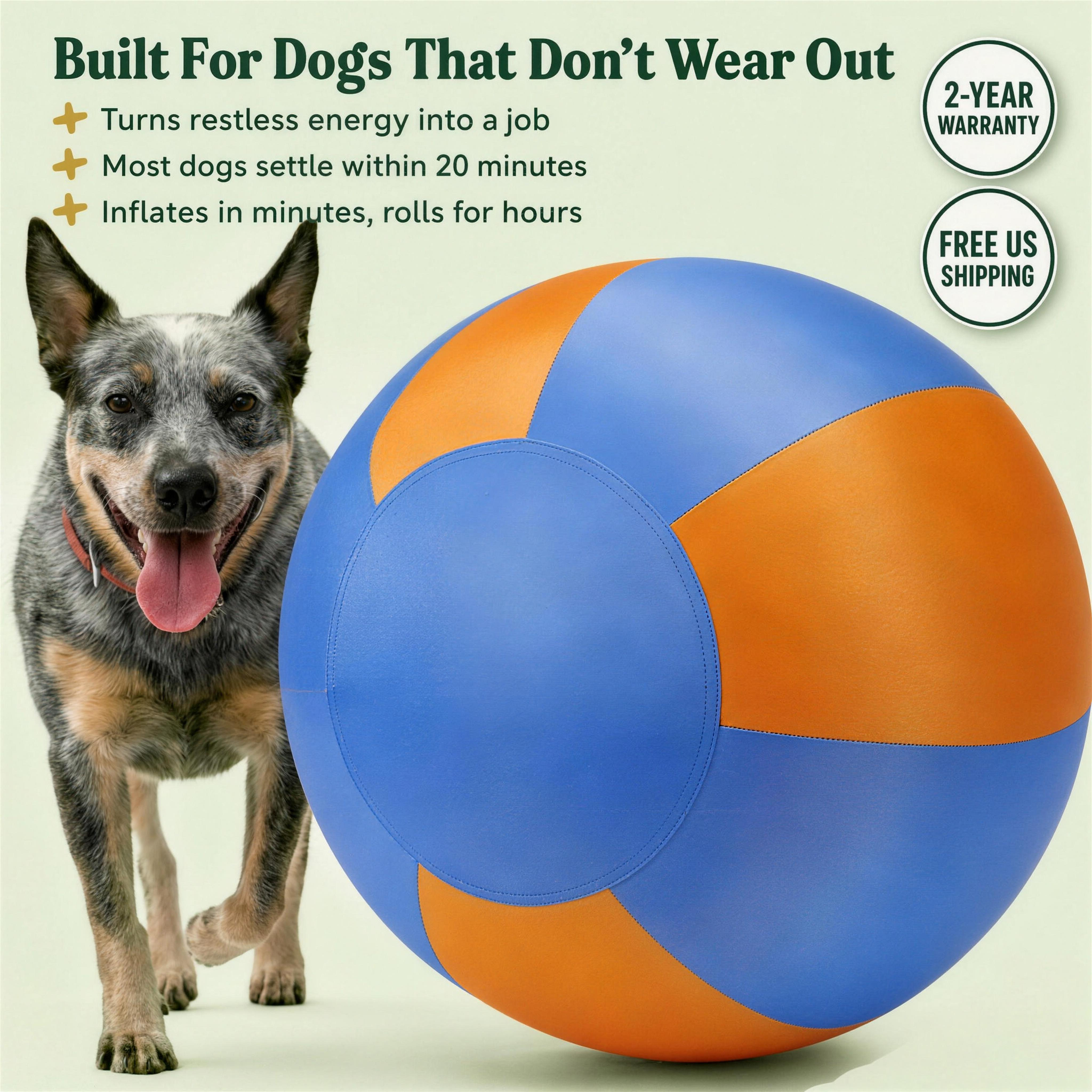 Amblora™ Herding Ball