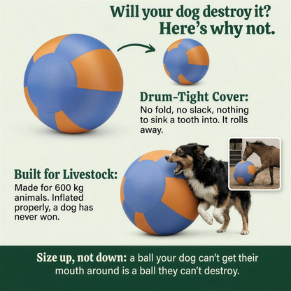 Amblora™ Herding Ball