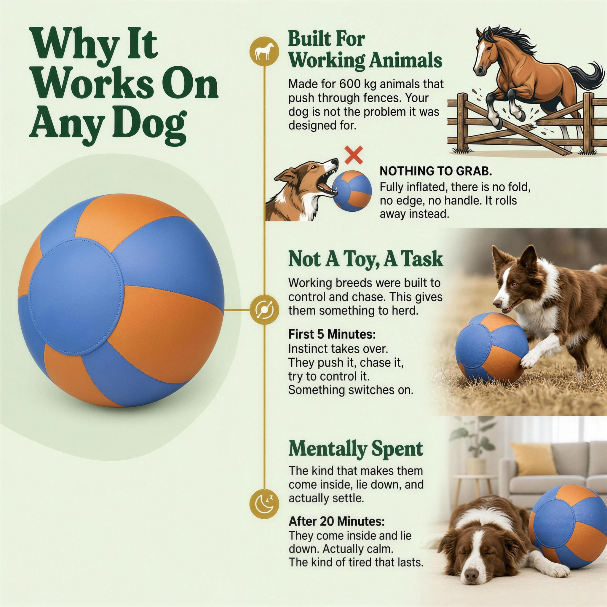 Amblora™ Herding Ball