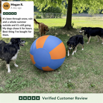 Amblora™ Herding Ball
