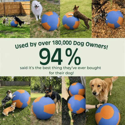 Amblora™ Herding Ball